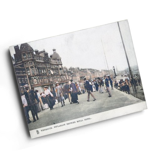 Print vintage dorset - -,