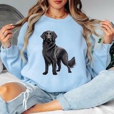 Flat Coated Retriever Dogs