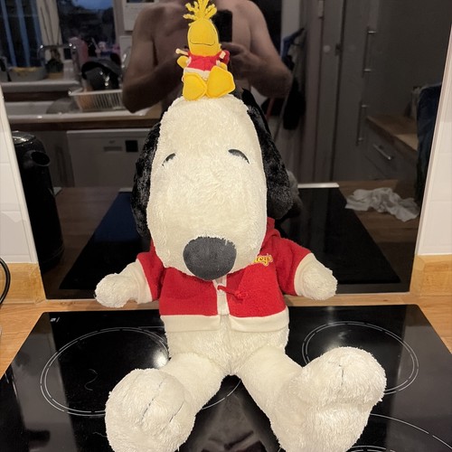 Peanuts snoopy with - snoopy, woodstock