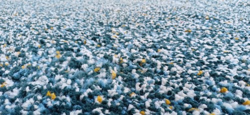 Ikea vindum large rug - large, x