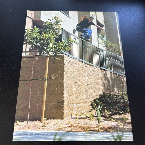 Skate remz magazine - skate, ad