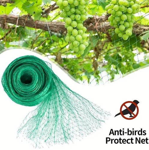 Anti bird netting garden fruit - anti,