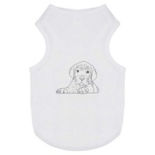 'Cane Corso Puppy' Pet Dog /