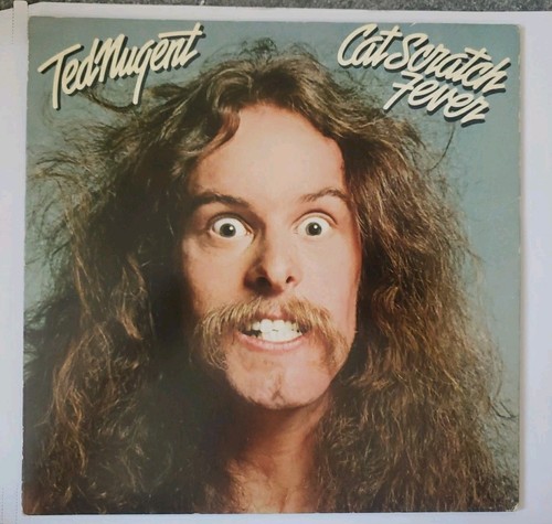 Ted nugent cat - cat, scratch