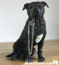 Staffordshire bull terrier - bull,