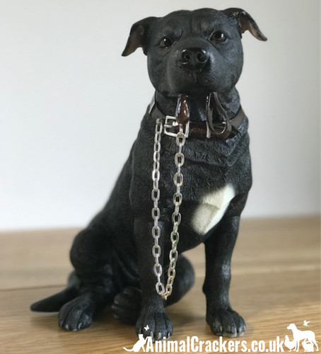 Staffordshire bull terrier - bull,
