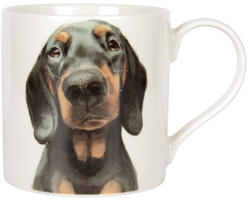 Black tan dachshund - tan,