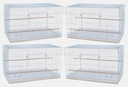 Lot large breeding - lot,