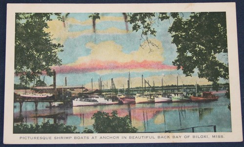 Shrimp boats anchor back - boats, at