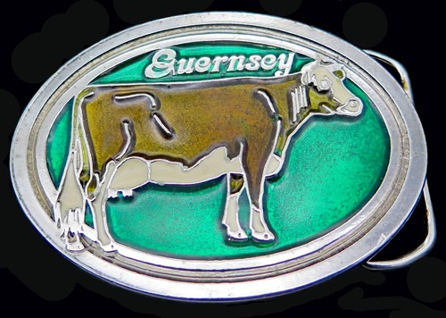Vintage guernsey cow - vintage, belt