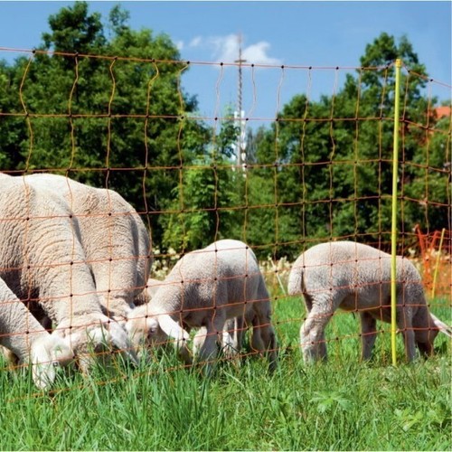 Electric sheep netting 50m - -,