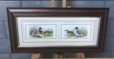 Henry Jones framed duck prints, mallard
