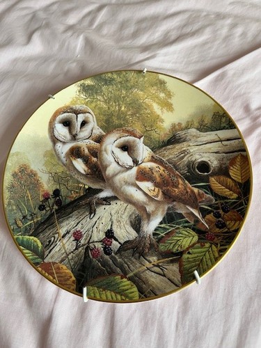 Royal doulton british owls - doulton,