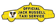 Funny JACK RUSSELL Dog Taxi