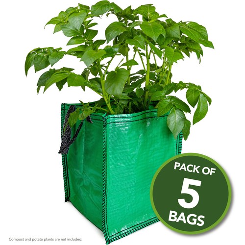 Potato planter grow - 5,