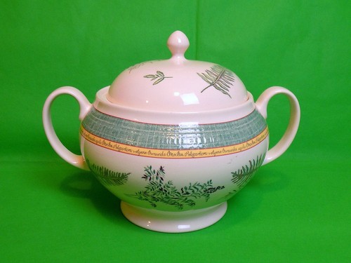Johnson bros fern - fern,