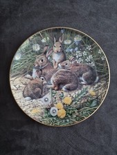 Royal Doulton Fine Bone China Plate British Wildlife Family Outing Adrian Rigby