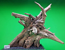 Large corbo root aquarium - corbo,