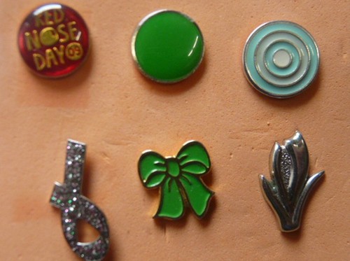 Assorted charity pin - charity,