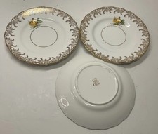 Rosina China Mottisfont Roses