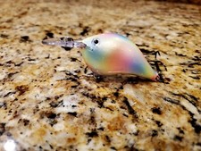 Custom Painted Rapala DT-6 