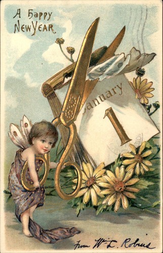 New year fairy - new,