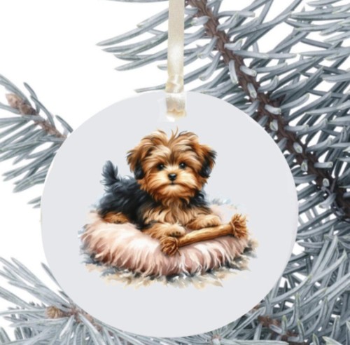 Yorkshire terrier dog hanging - yorkshire,