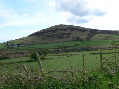 Photo 6x4 grazing land - grazing, near