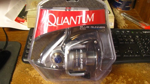 Quantum blue runner spin - "blue,
