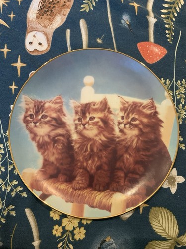 Sitting pretty danbury mint - sitting,