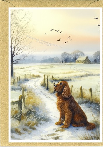 Sussex spaniel dog greetings - dog,