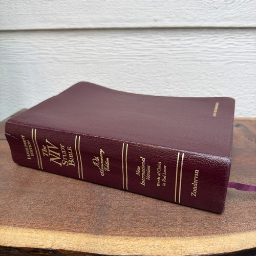 The niv study bible large - study,