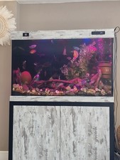 Fish Tank Aquarium Complete Setup Stand, Heater, LED, Filter