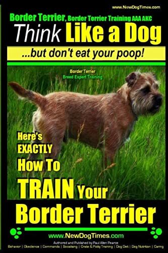 Border terrier - border,