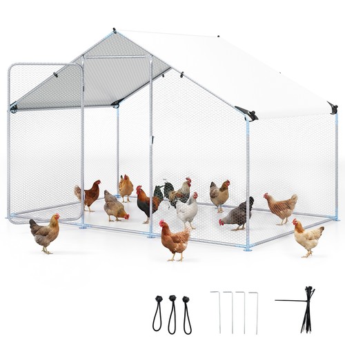 Walk chicken run outdoor - in,