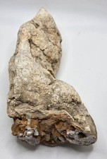Rocks, Minerals, Fossils