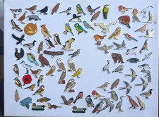 Assorted RSPB Pin Badges and Backing Cards Including Very Old Versions