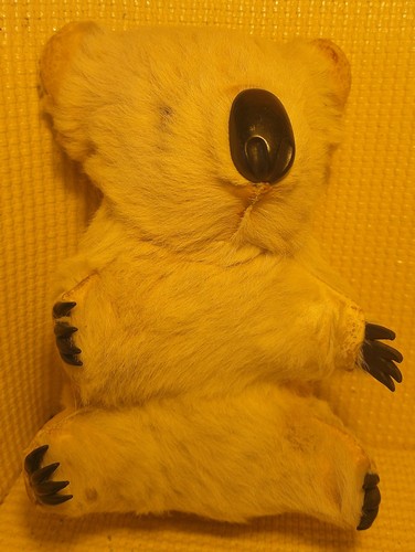Vintage white koala bear fur - vintage,