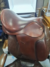 Barnsby 17 Inch Haflinger All