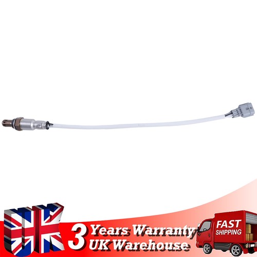 Lambda oxygen sensor for - oxygen,