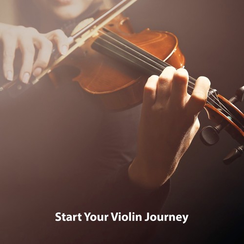 Electric violin with - b_4/4,