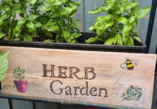 Wooden handcrafted herb garden - herb,