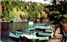 Cabin Cruiser Black River