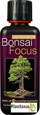Bonsai focus liquid - focus,