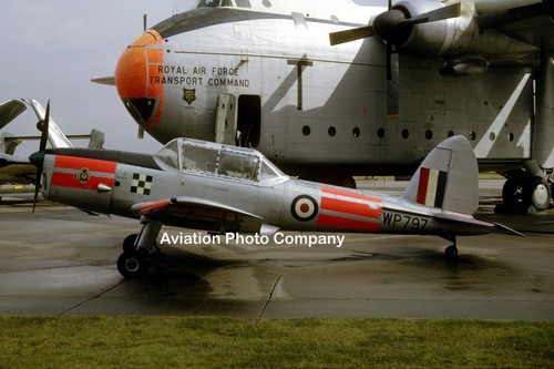 Raf dhc chipmunk 10 - raf,