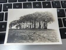 9X 6 CM  WINGREEN  WILTSHIRE   1931   ART DECO  PHOTOGRAPH  