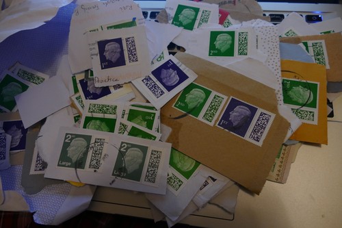 1000 king charles normal - 1000,