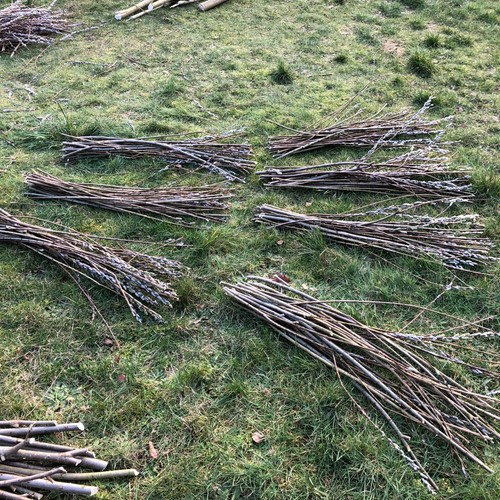 30x 90cm hybrid willow - 30x,