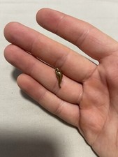 ANTIQUE  10k Gold Italian Horn, Corno Pendant. Fine Jewelry. Protection Amulet