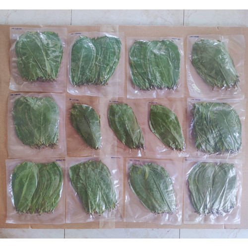 Dried organic soursop leaves - organic,